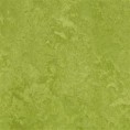 /products/3247-green-fresco/